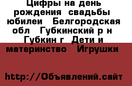 Цифры на день рождения, свадьбы, юбилеи - Белгородская обл., Губкинский р-н, Губкин г. Дети и материнство » Игрушки   